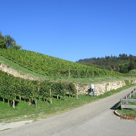 Ferienwohnung Am Sulzbach 술츠부르크 외부 사진